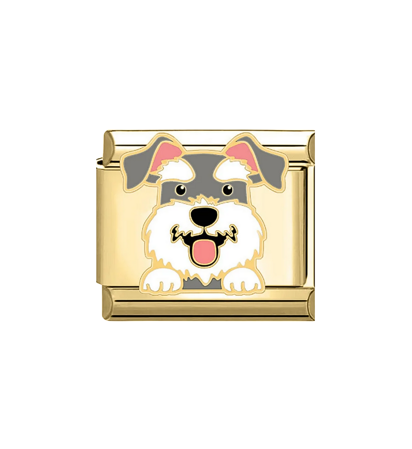 Charm Schnauzer Dorado