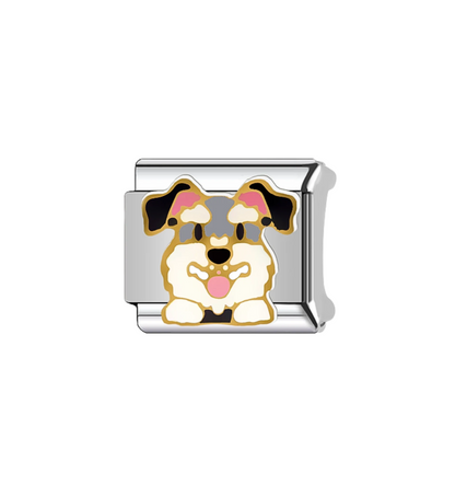 Charms Mascotas