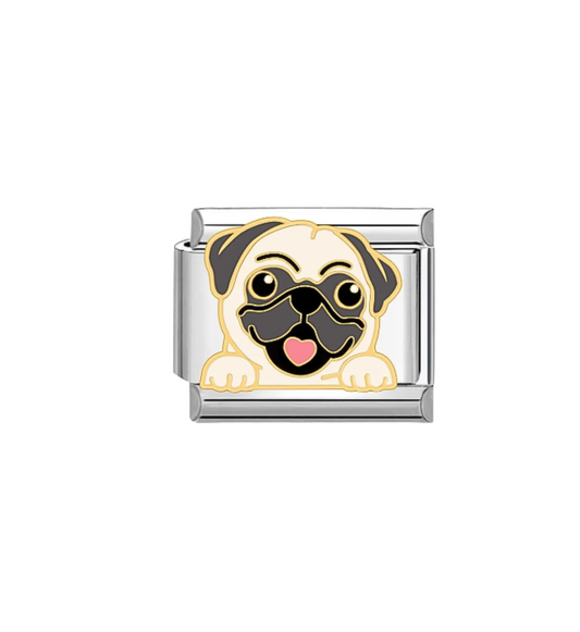 Charms Mascotas
