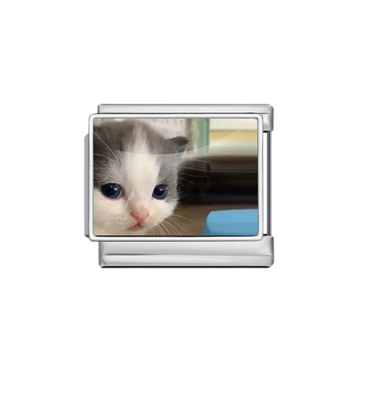 Charm Plateado Gatito