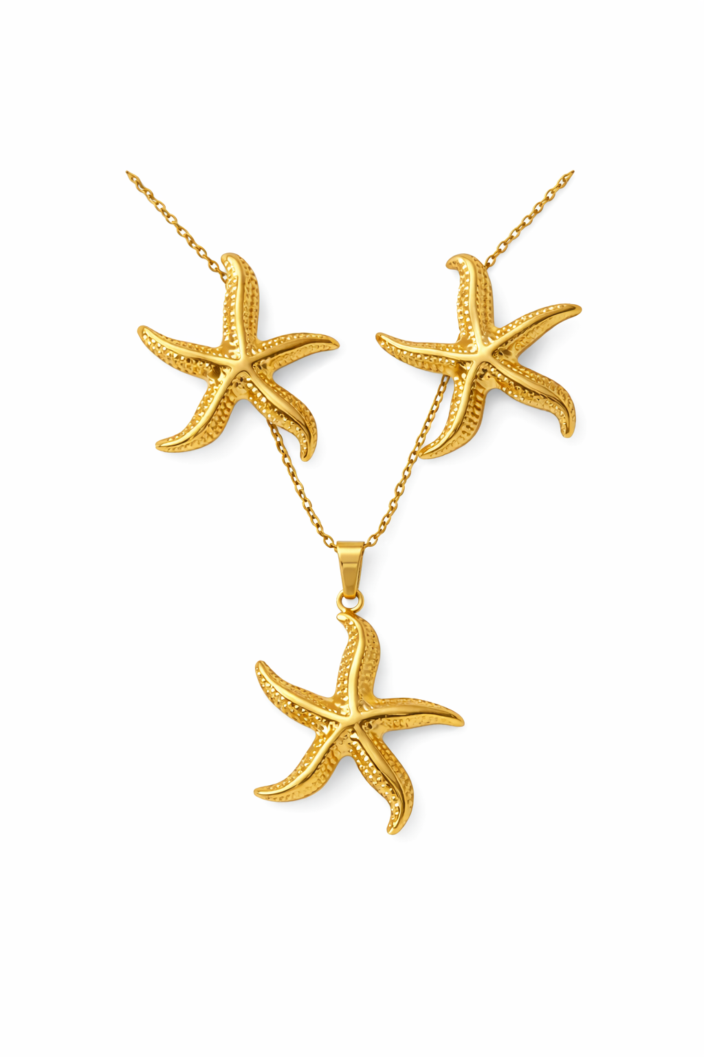 Conjunto estrella de mar acero inoxidable
