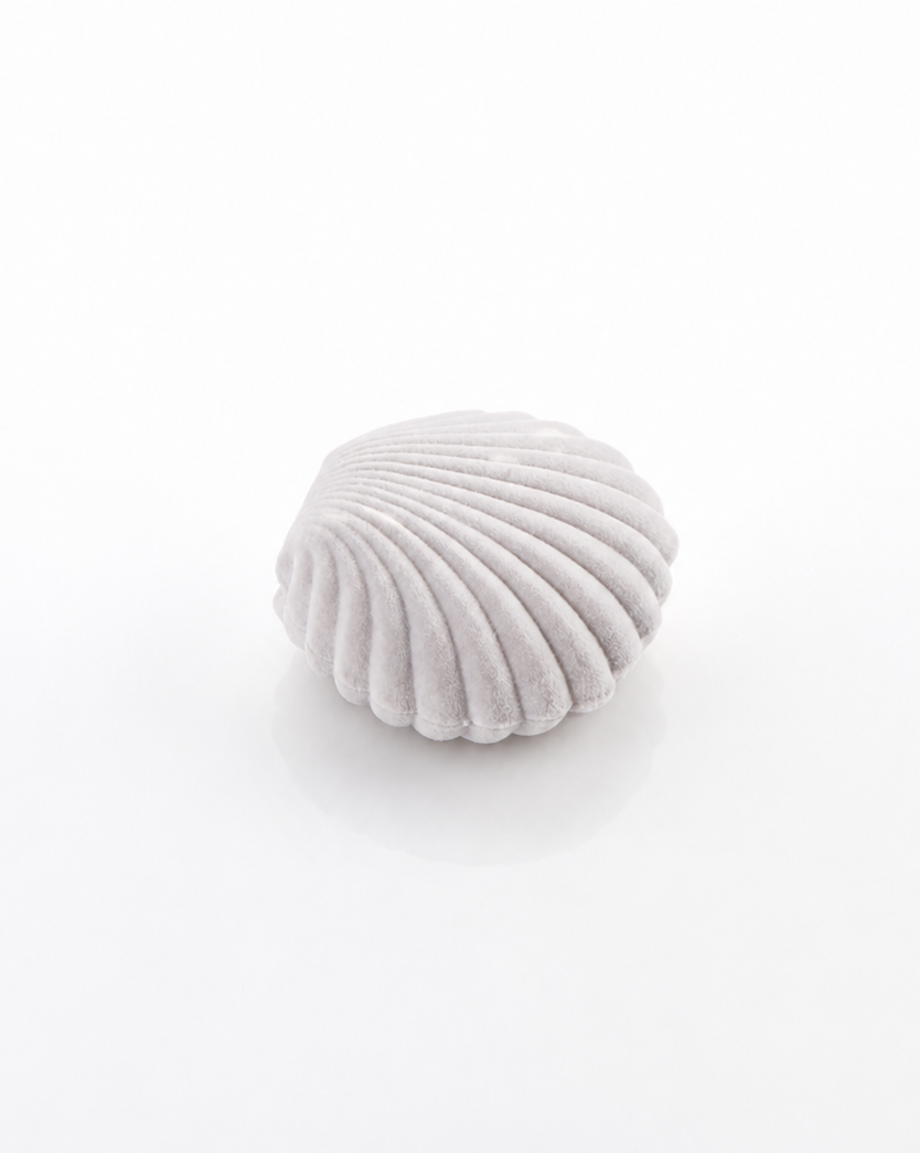 Estuche concha de mar terciopelo para joyeria