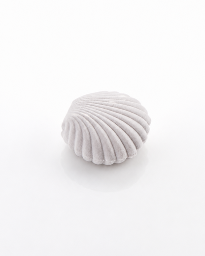 Estuche concha de mar terciopelo para joyeria