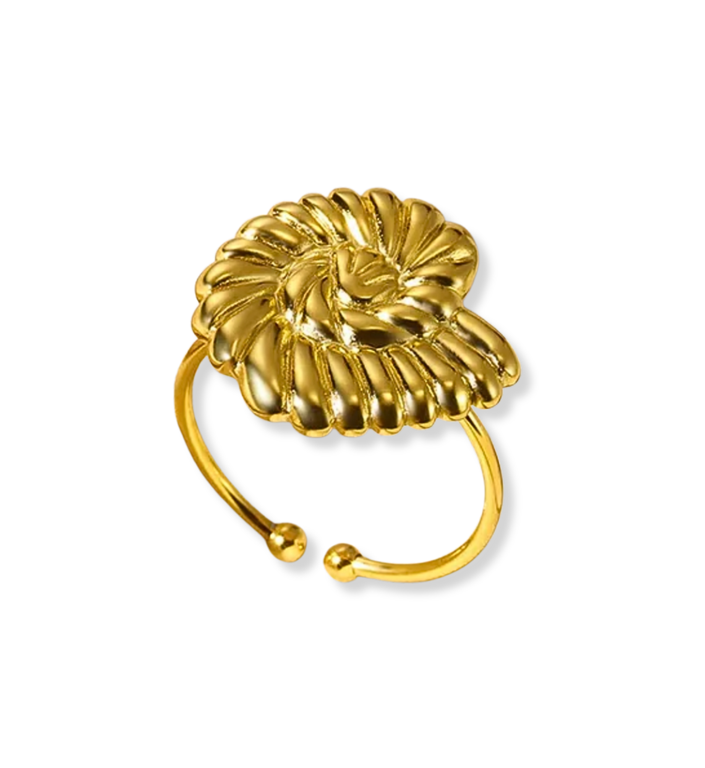 Anillo Caracol Acero Inoxidable