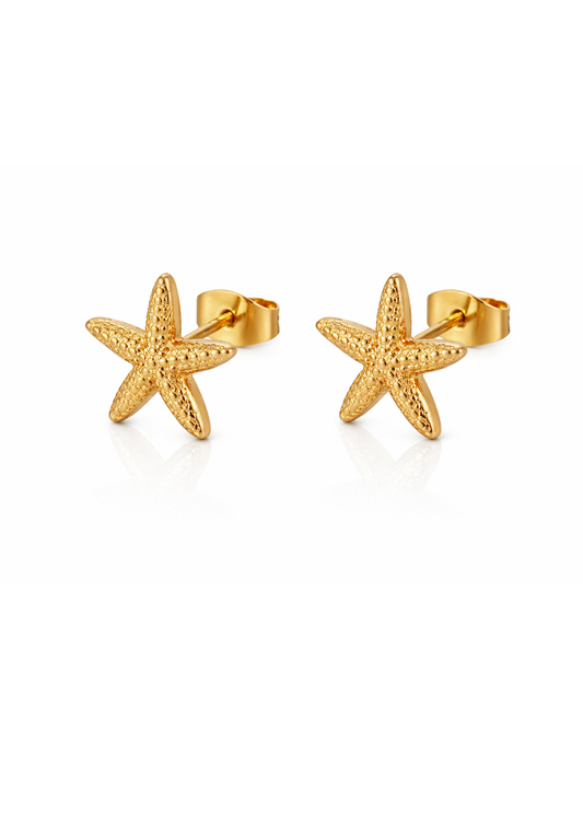 Aretes estrella de mar acero inoxidable
