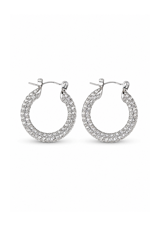 Aretes arracadas con zirconias plateadas acero inoxidable